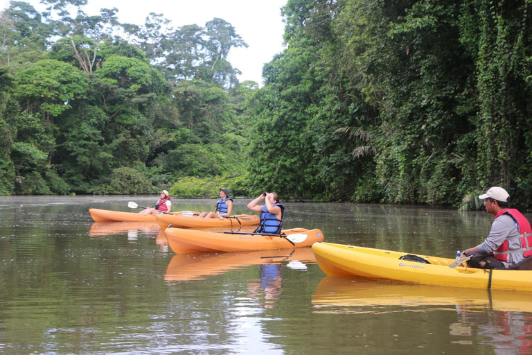 Others 5, Tortuguero Adventures GuestHouse, Pococí