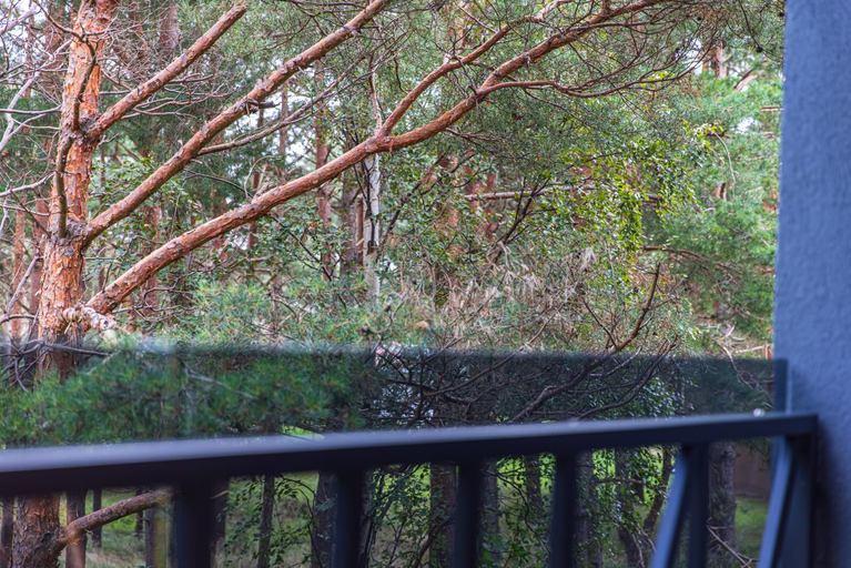 Others 4, Sunny Pines Apartment, Palangos
