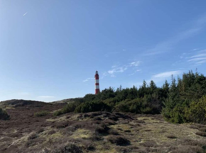 Miscellaneous, "sea Eagle" in the House on the Dune, Nordfriesland