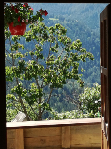 Others 4, Biohof Sattler, Bruck-Mürzzuschlag