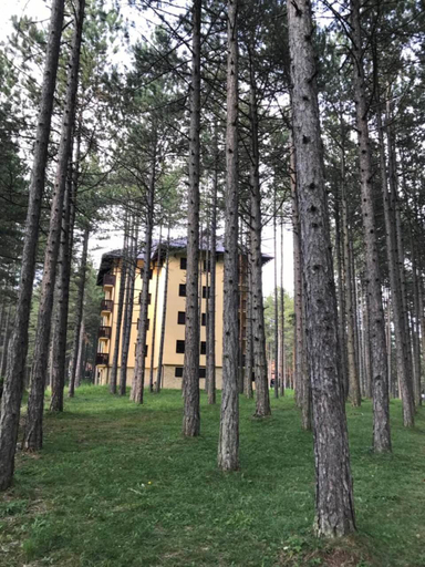 Others 4, Zlatibor apartmani Jakovljevic, Čajetina