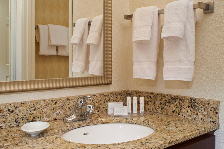 Bathroom 3, Residence Inn by Marriott Saginaw, Saginaw