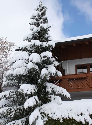 Exterior 4, Kreuzwiesen Comfortable Holiday Residence, Oberallgäu