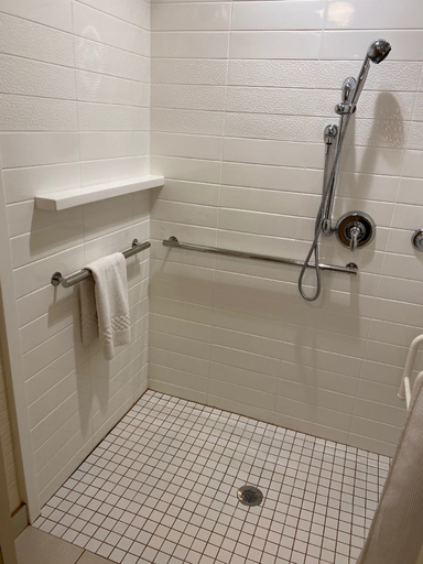 Bathroom 4, Fairfield Inn & Suites Durango, La Plata