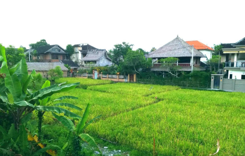 Scenery 12