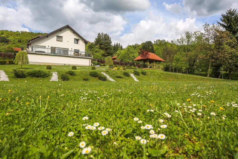Others 5, Sunnyside Villa, Sarajevo