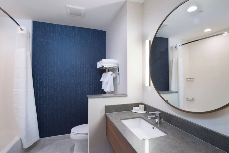 Bathroom 5, Fairfield Inn & Suites Tyler South, Smith