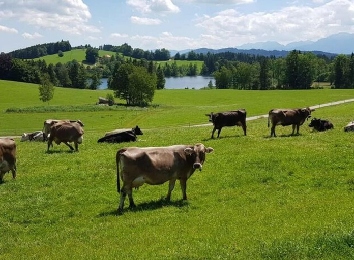 Miscellaneous, Chic Holiday Apartment, Oberallgäu