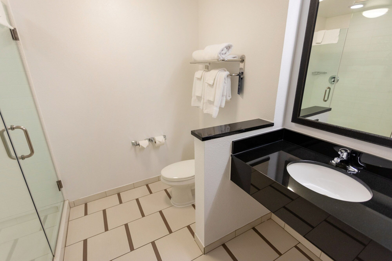 Bathroom 5, Fairfield Inn & Suites Athens I65, Limestone