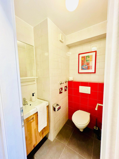 Bathroom 2, One bedroom flat near train station, Luxembourg