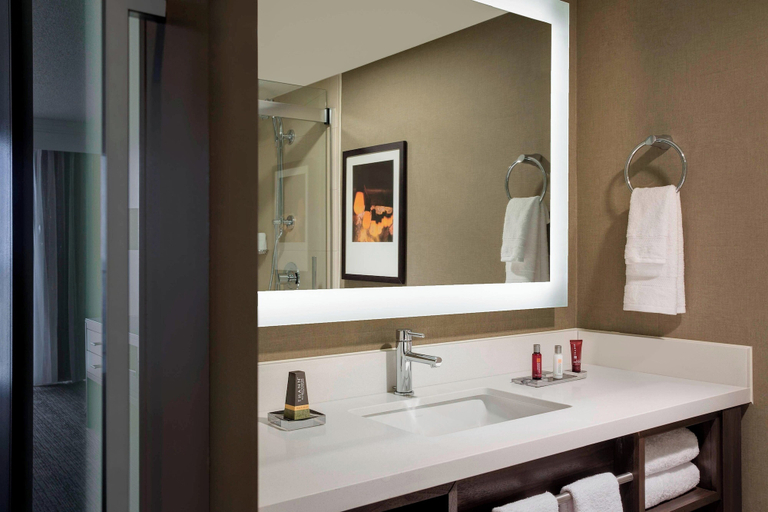 Bathroom 5, Marriott San Antonio Riverwalk, Bexar