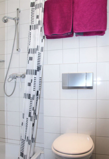 Bathroom 5, Riesling Apartment on the Moselle Terrace, Trier-Saarburg