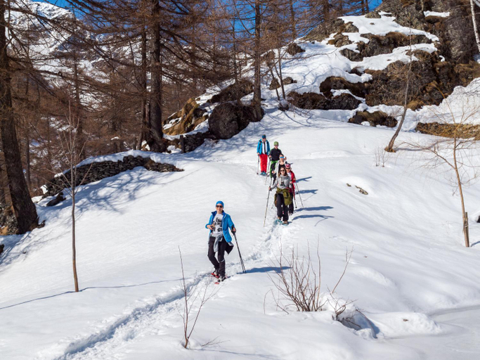 Others 5, Gruppenhaus im Walliser Alpstyle, Brig