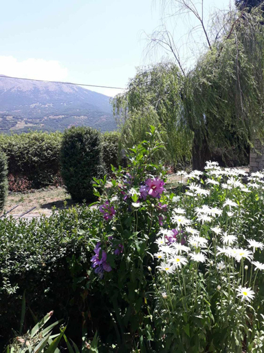 Others 2, VALIA ROOMS, West Greece