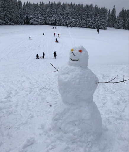 Snow and ski sports 2, Holiday Home Kent Comfortable Vacation Home, Waldeck-Frankenberg