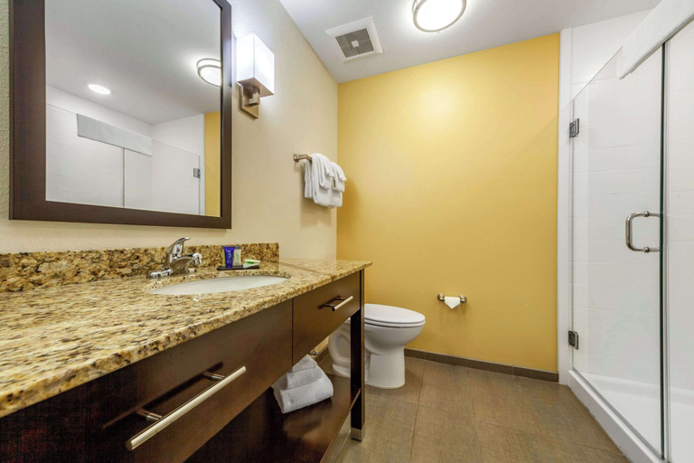Bathroom 4, Sleep Inn & Suites Lincoln University Area, Lancaster