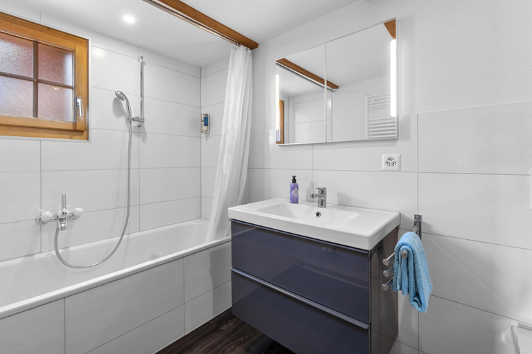 Bathroom 1, App. Seeblick Top of Interlaken, Interlaken