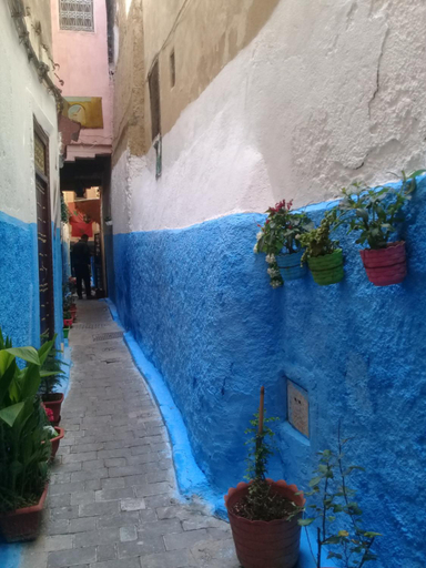 Sport & Beauty 4, Dar Saida, Fès