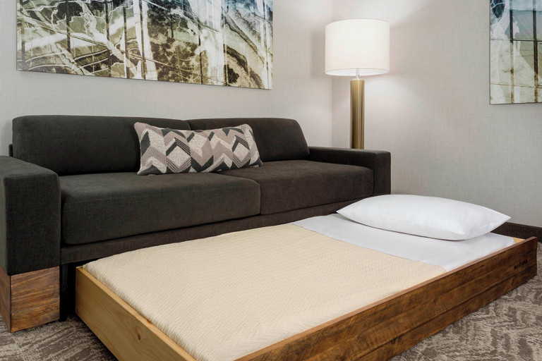 Others 5, SpringHill Suites by Marriott Belmont Redwood Shores, San Mateo