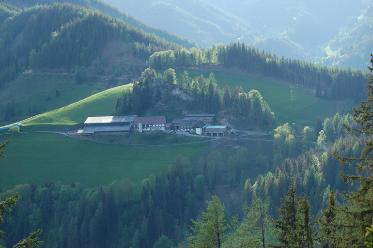 Others 3, Biohof Sattler, Bruck-Mürzzuschlag