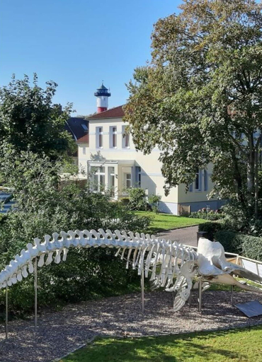 Property grounds, Holiday Apartment Villa in the Park, Friesland