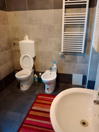 Bathroom 5, Venice City Guesthouse, Venezia