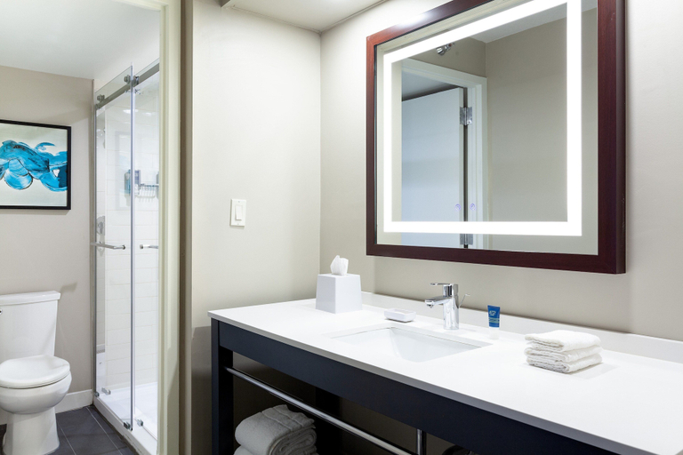 Bathroom 4, Four Points by Sheraton Orlando Convention Center, Orange
