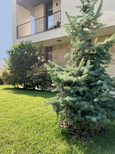 Exterior & Views 2, Vila Ducu Adults Only +16, Navodari