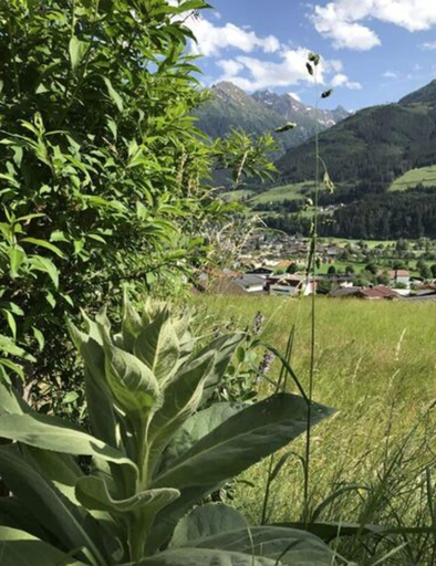 Property grounds 4, Boutique Apartment in Salzburg, Zell am See
