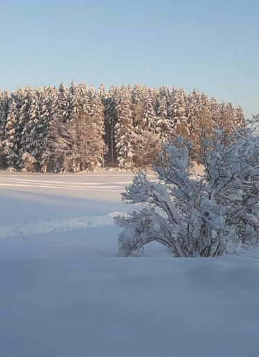 Property grounds, Appealing Apartment Near Lake, Ravensburg