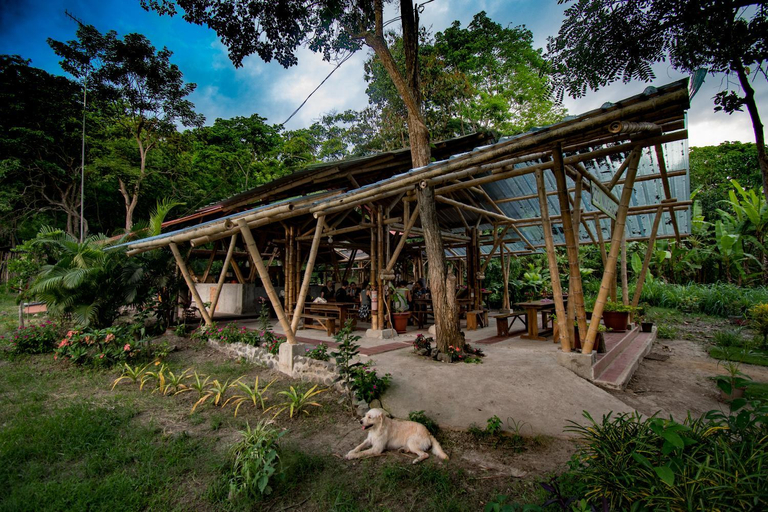 Exterior view 5, Rio Muchacho Organic Farm, Sucre