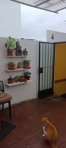 Others 5, Hospedaje Marita, Lima
