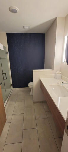 Bathroom 3, Fairfield Inn & Suites by Marriott Hailey Sun Valley, Blaine