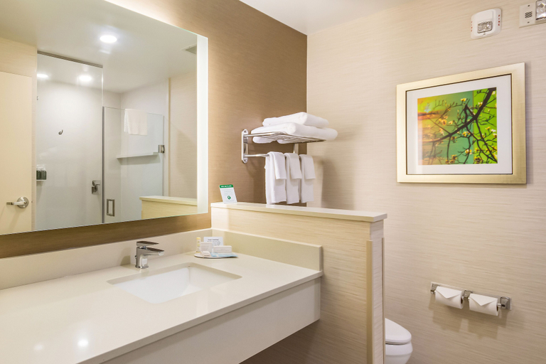 Bathroom 4, Fairfield Inn & Suites by Marriott Chickasha, Grady