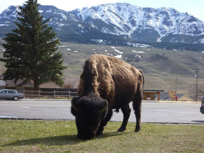 Others 5, Yellowstone Gateway Inn, Park