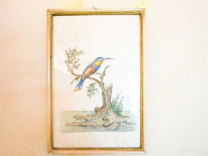 Interior detail 2, Villa in Rome With Pool & Stunning Views, Viterbo