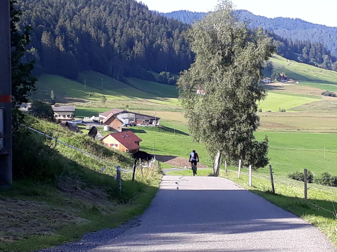 Others 2, Gastezimmer im Dorfzentrum, Schwyz