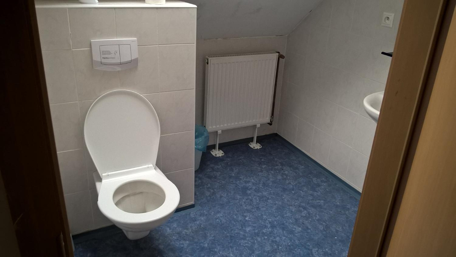 Bathroom 2, Penzion U Hladu, Plzeň - sever