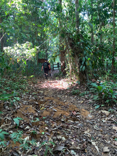 Others 2, Paraisoverde-Corcovado Over Night