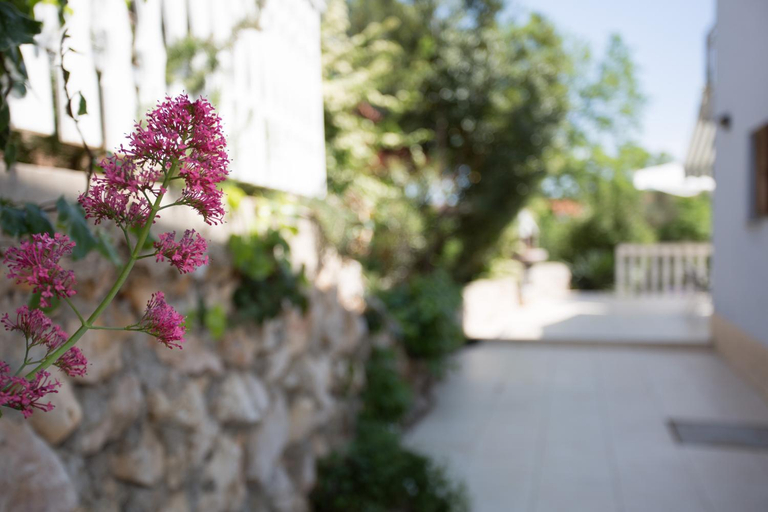 Others 3, Apartman Cekovic, Dobrinj