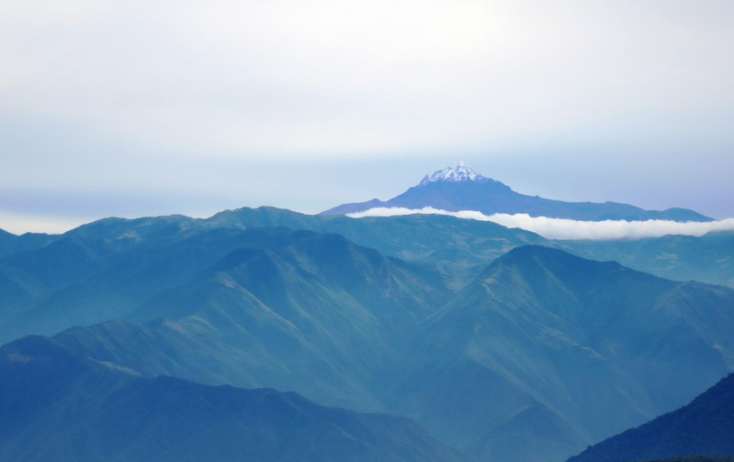 Others 4, Finca Petrona, Quito