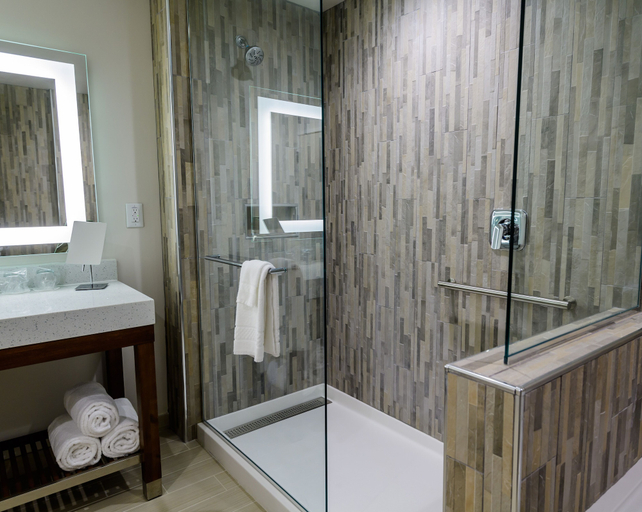 Bathroom 5, Courtyard by Marriott Lake Jackson, Brazoria