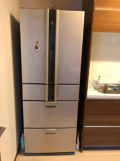 Others 5, kaen, Tachikawa