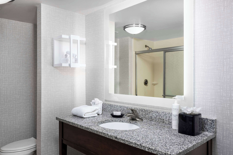Bathroom 4, Hampton Inn & Suites Birmingham/280 East-Eagle Point, Shelby