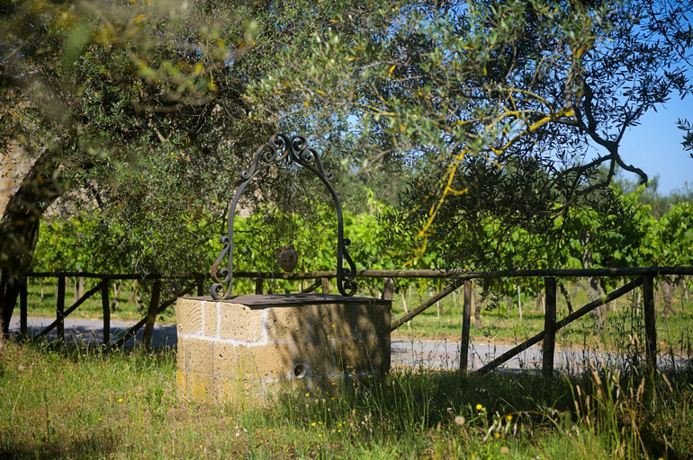 Others 5, B&B Vallecupa, Viterbo