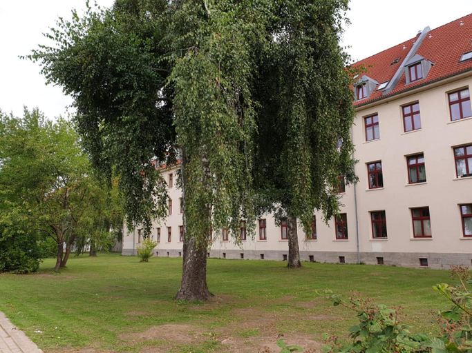 Others 3, Unterkunft Greifswald, Vorpommern-Greifswald