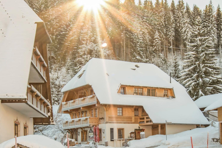 Others 3, Holiday Apartements by Hotel Gruner Baum Feldberg, Breisgau-Hochschwarzwald