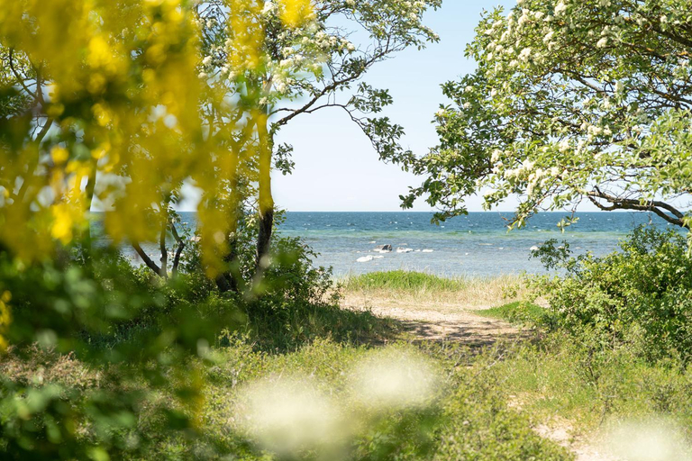 Others 4, Visby Strandby, Gotland