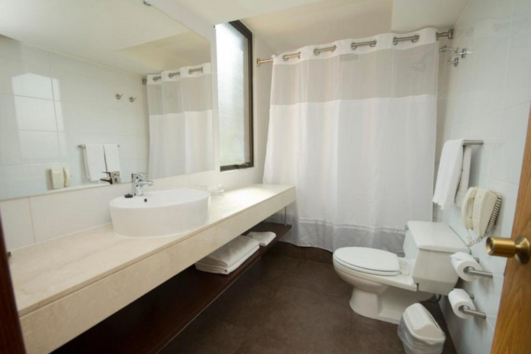 Bathroom 4, Hotel Director Vitacura, Santiago