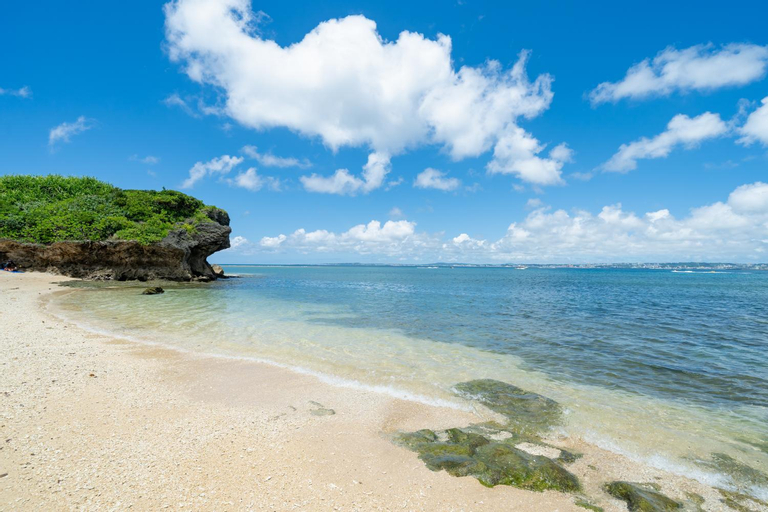 Vent du Vent301, Urasoe